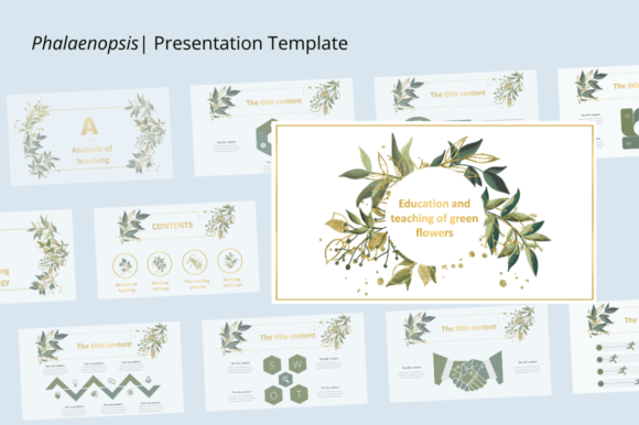 Phalaenopsis: A Font That Blooms in Every Design Project